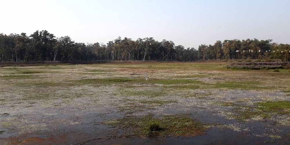 जाखोरतालबाट लागुऔषधसहित २ जना पक्राउ